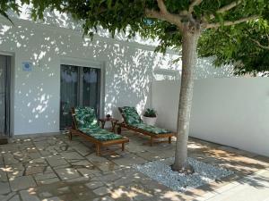 twee stoelen en een boom op een patio bij La Casa de Marieta "A" in Deltebre