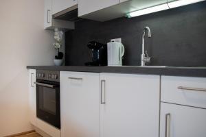 Kuchyň nebo kuchyňský kout v ubytování Flat2go modern apartments - Harmony of city and nature
