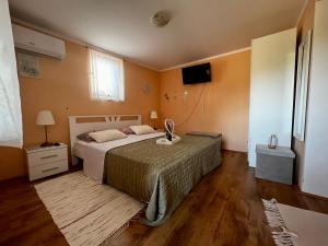 una camera con un letto e una televisione di Apartman Simona a Vrdnik