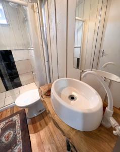 a white bathroom with a sink and a toilet at Casa de temporada - Recanto da invernada in Urubici