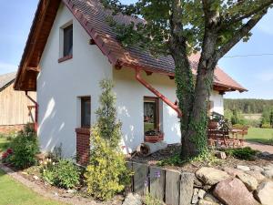 Una casa blanca con un árbol delante. en Domek Czerwony Kapturek, en Płocice