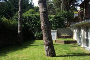 a tree in a yard with a bench next to a house at Casa en Pinamar Alquiler in Pinamar +2 photos
