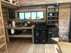 a kitchen with a stove and a sink in a cabin at Mini Moo-light Cabin in Clearwater