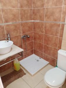 Koupelna v ubytování Appartement Yasmine