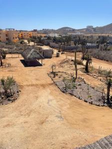 a desert area with cacti and a building in the background at Chakana Lofts in El Pescadero