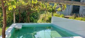 a swimming pool in a yard with a tree at Quinta dos Castros Douro in Baião