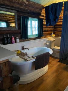 Et badeværelse på Talkeetna Gardens, Cabins & Cottages