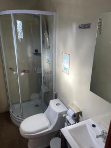 a bathroom with a shower and a toilet and a sink at Free Mountain in San Carlos de Bariloche