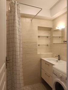 La salle de bains est pourvue d'un rideau de douche et d'un lavabo. dans l'établissement Paris 12 30m² quiet comfortable studio apartment, à Paris