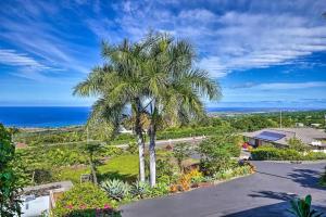 an aerial view of a palm tree and the ocean at Tranquility Guest House in Kailua-Kona +8 photos