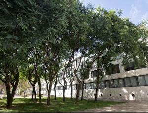una fila di alberi di fronte a un edificio di Apartment Vila Olímpica Barcelona next to beach & garden a Barcellona