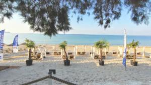 a beach with palm trees and flags in the sand at Thassos Hotel Grand Beach in Limenaria