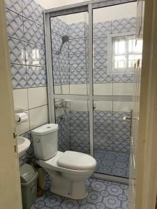 a blue and white bathroom with a toilet and a shower at Deluxe Mansion in Buea