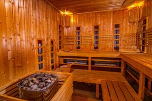 オルシュティンにあるHotel Wileńskiのバスタブ付きの広い木造の客室です。