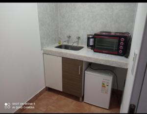 uma pequena cozinha com um lavatório e um micro-ondas em Departamento Chacra em Villa Regina