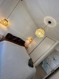1 dormitorio con 1 cama y 2 luces en el techo en Mitre en Rosario