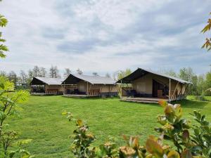 two luxury lodges in a field of grass at Luxury glamping with private bathroom near the Frisian waters in De Veenhoop