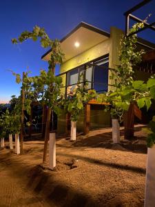 una casa con un montón de árboles delante de ella en Palta 60 Valle de Guadalupe, en Valle de Guadalupe