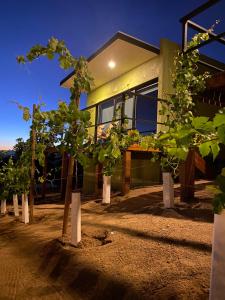 a house with a bunch of trees in front of it at Palta 60 Valle de Guadalupe in Valle de Guadalupe