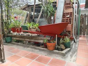 Giardino di Guaxique