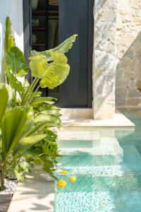 a house with a pool in front of a door at Zee Design Villa & Spa Sanur in Sanur