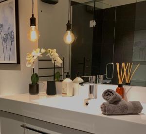 Billede fra billedgalleriet på Little Alp Chalet i Queenstown