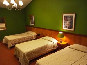 Cama ou camas em um quarto em Hotel Bristol Asuncion