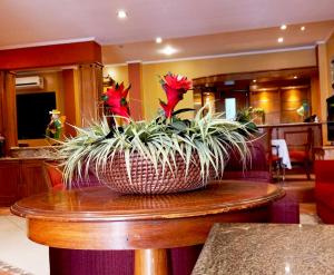 eine Topfpflanze auf einem Tisch in der Lobby in der Unterkunft Hotel Bristol Asuncion in Asunción