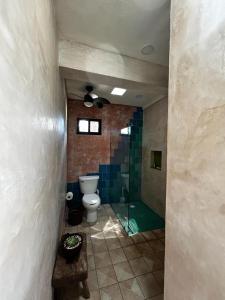 La salle de bains est pourvue de toilettes et d'une douche en verre. dans l'établissement Casa Tulup Sisal, à Sisal