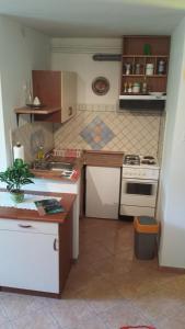Η κουζίνα ή μικρή κουζίνα στο Apartments Ručna