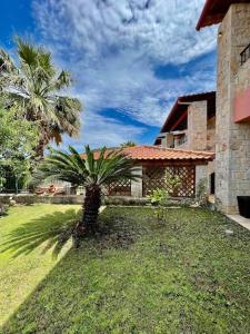 a palm tree in front of a house at #ALS- Stone Maisonette in Paliouri in Paliouri