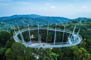 an observation tower in the middle of a forest of trees at AAA Homestay Georgetown Penang in Ayer Itam