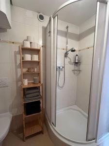 a bathroom with a shower and a toilet and a sink at Franziskaner Suites #9 in Graz +34 photos