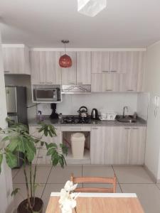 uma cozinha com armários brancos e uma mesa com uma planta em Cómodo departamento céntrico y cerca a lugares turísticos de la ciudad em Arequipa