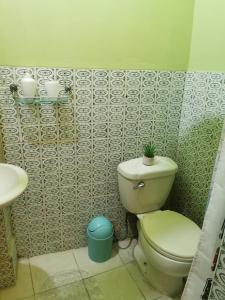 y baño con aseo y lavamanos. en Hermoso departamento en el centro ciudad, casa M MELGAR, en Arequipa