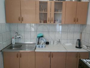 eine Küche mit Spüle und Arbeitsplatte in der Unterkunft Orange House in Trnovo + 21 Fotos