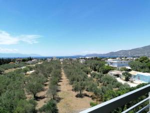 a view from the balcony of a resort with trees at HOTEL ALEXANDROS in Loutraki