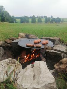 a grill with two pizzas on it in a field at Šťastná Maringotka 