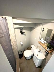 uma casa de banho com um WC, um lavatório e um espelho. em Šiauliu apartamentai em Siauliai