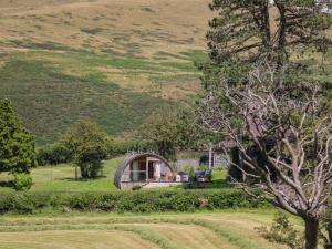 a small house in the middle of a field at Pine Lodge in Llangadog