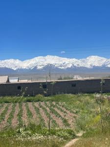 a field with snow covered mountains in the background at CBT1 Sary-mogul in Sary-Mogul