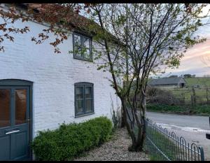 a white brick house with a tree in front of it at Charming cottage in Lyng