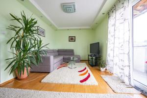 een woonkamer met een bank en een tv bij Spacious apartment (60sqm) with a balcony in Tuzla