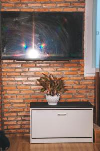 a television on a brick wall with a plant on a dresser at Hồng Diễm Lagi homestay in La Gi