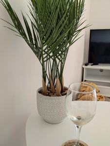 a glass of wine and a potted plant on a table at Sunset Retreat - Hunstanton in Hunstanton