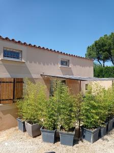 una fila di piante in vaso davanti a una casa di La Vigne a Sorgues