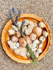 a bowl filled with shells and flowers on the ground at Villa Roseal in Povljana