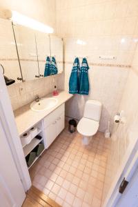 ein Badezimmer mit einem WC, einem Waschbecken und einem Spiegel in der Unterkunft Nord Riverside in Rovaniemi