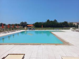 una grande piscina con acqua blu di Masseria Cricelli a Lizzanello