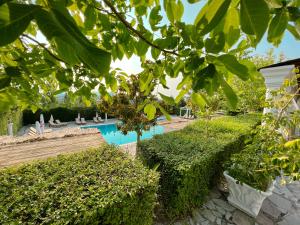 a garden with a swimming pool with trees and bushes at BlackStone.Shkodra in Shkodër